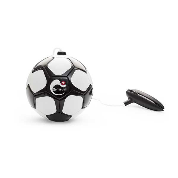 Senseball Trainingsball